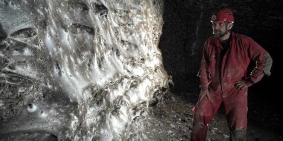 Dünyanın En Büyük Örümcek Ağı Bulundu: Şaşırtıcı Keşif! - Dakikada Haber Dünyanın En Büyük Örümcek Ağı Bulundu: Şaşırtıcı Keşif!