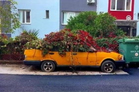 Hayalet Otomobil, Sokak Kedilerine Yuva Oldu! 8 Yılda Doğanın Parçası Haline Geldi... - Dakikada Haber Hayalet Otomobil, Sokak Kedilerine Yuva Oldu! 8 Yılda Doğanın Parçası Haline Geldi...